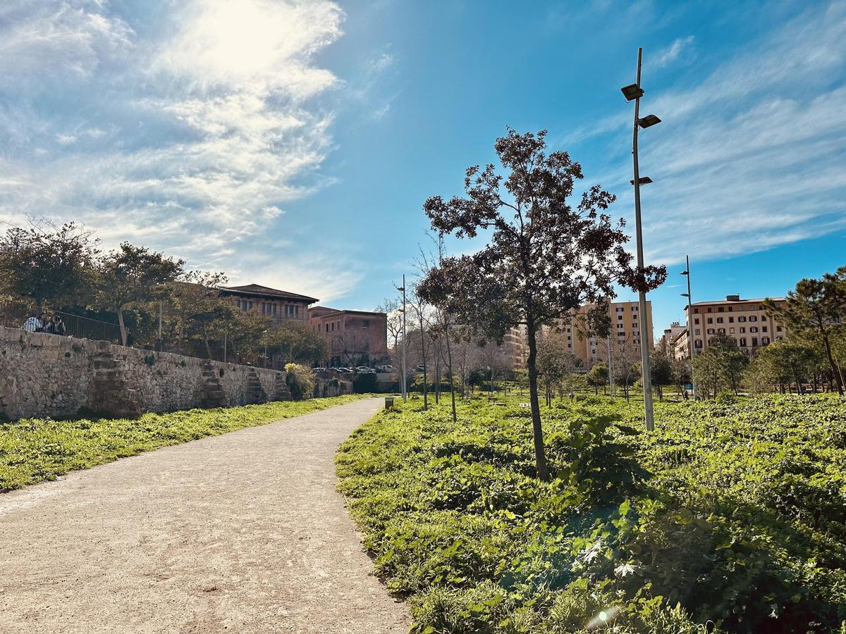 Ein paar mehr Wolken sind am Wochenende zu erwarten.
