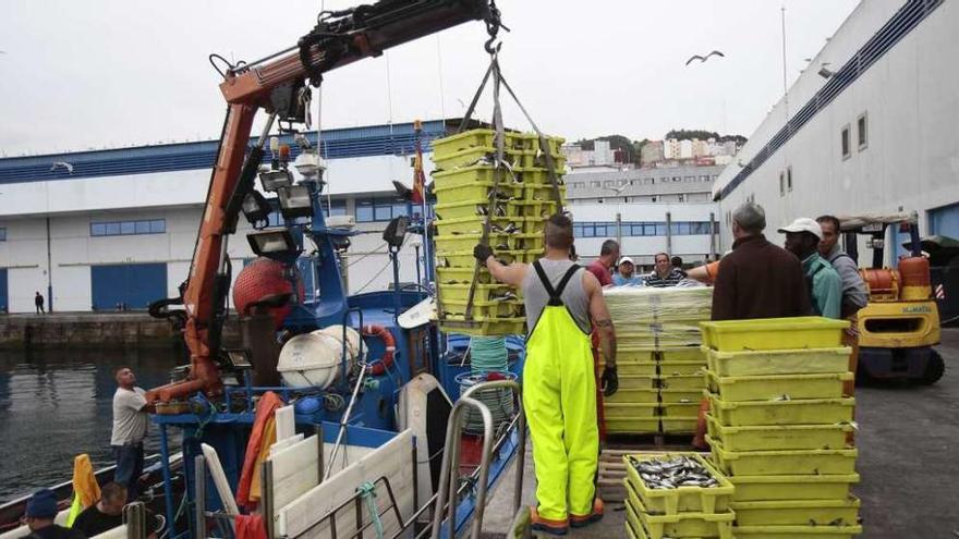 Varios marineros de cerco descargan cajas de sardina en un puerto gallego.