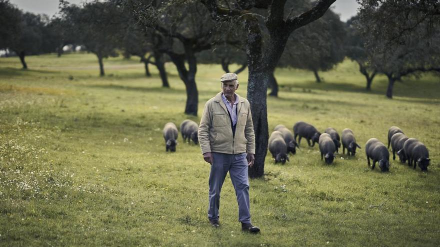 Las noticias de Extremadura: los titulares que no debes perderte hoy, 15 de abril