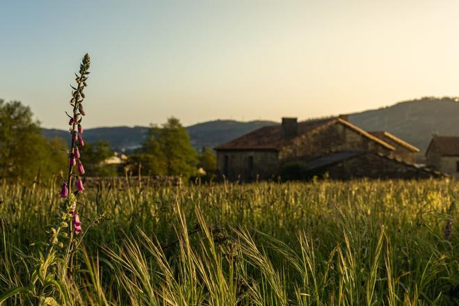 España rural, sostenible