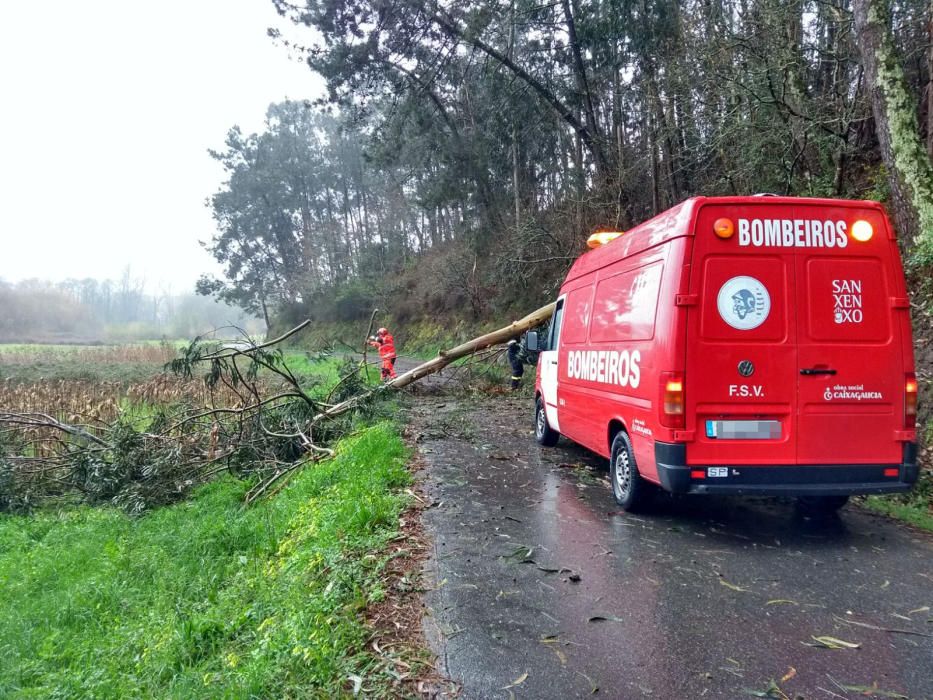 "Gisele" deja un reguero de incidencias