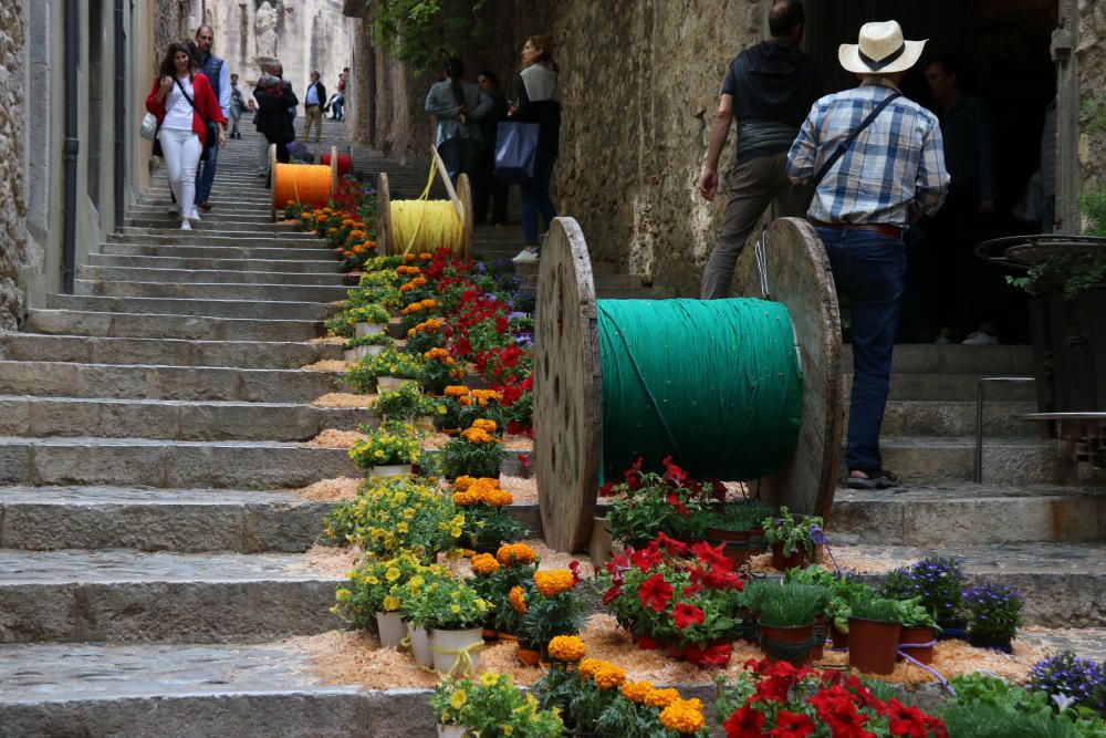 Girona, Temps de Flors 2019