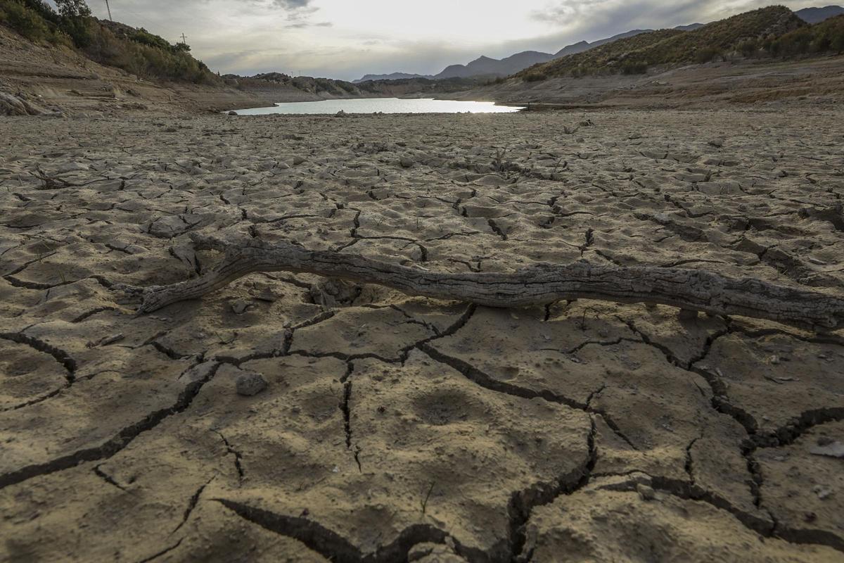 La falta de lluvias está colocando en una situación crítica las reservas en la cuenca del Segura.