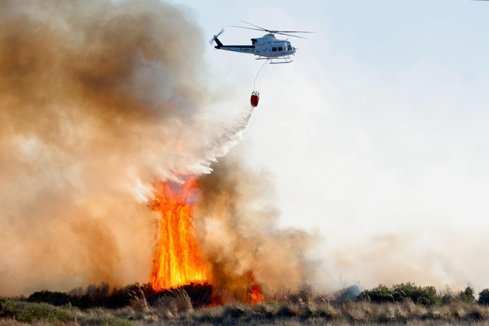 Declarado un incendio en el Saler