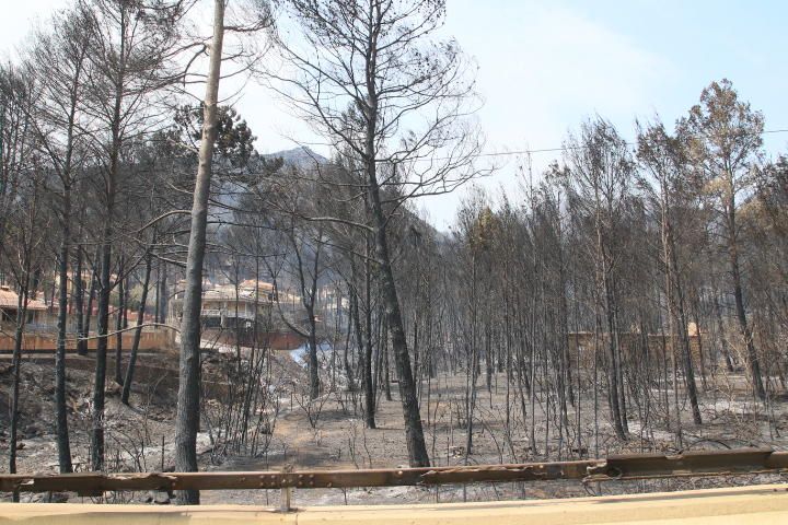 Incendio forestal entre Pinet, La drova y Marxuquera