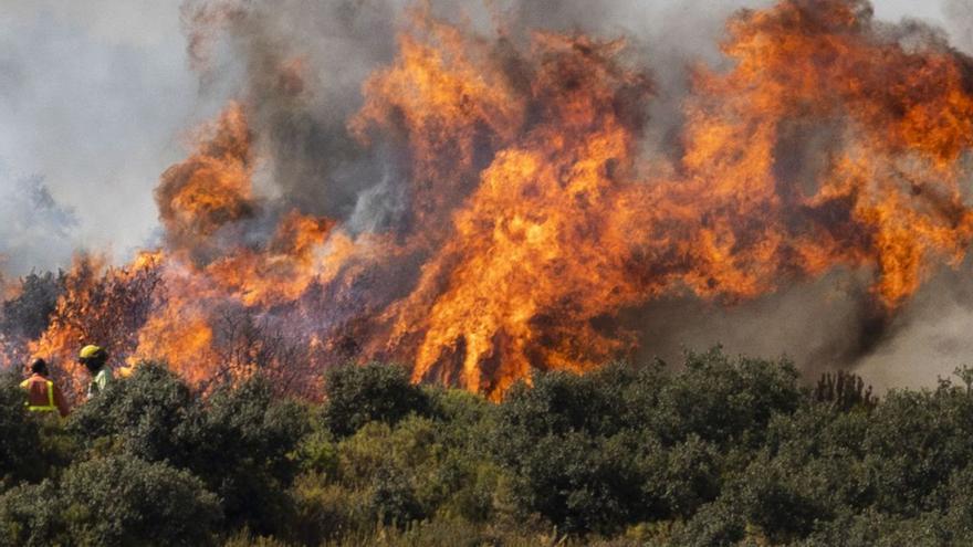 El sector contra el fuego