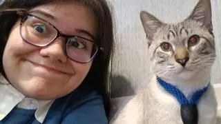 Una "devastada" niña viguesa ofrece una recompensa por su gato desaparecido hace poco más de un mes