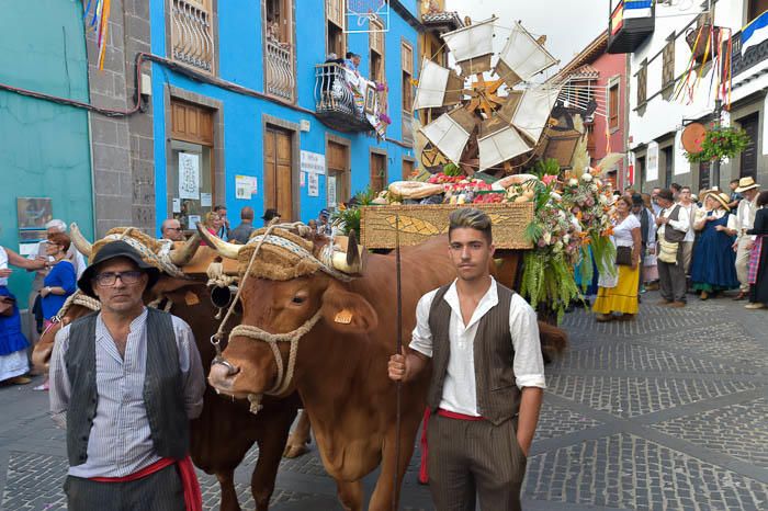 Carretas y grupos en la romería del Pino