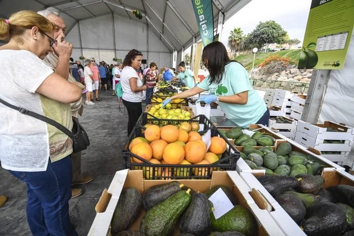 III FERIA DEL AGUACATE