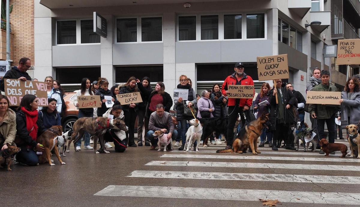 Protestas para reclamar justicia por el perro robado en Navata, Lucky