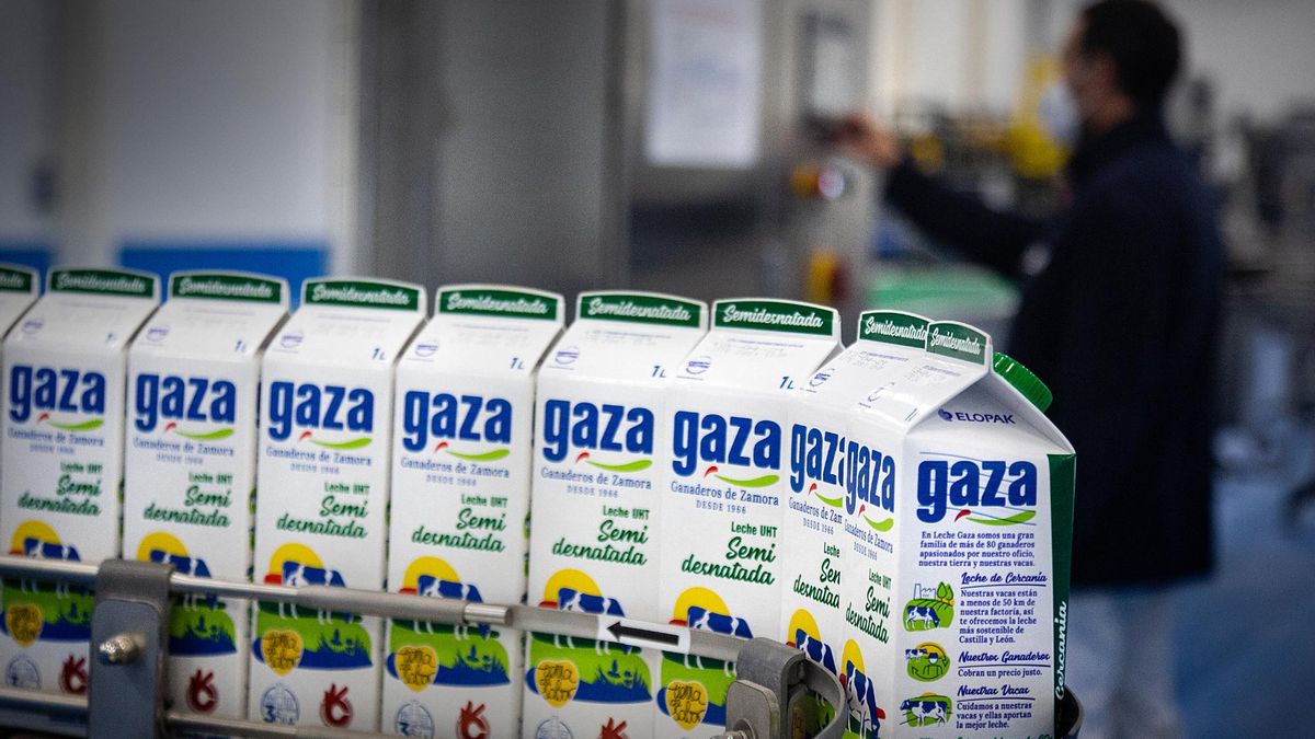 Uno de los lineales de la compañía Leche Gaza.
