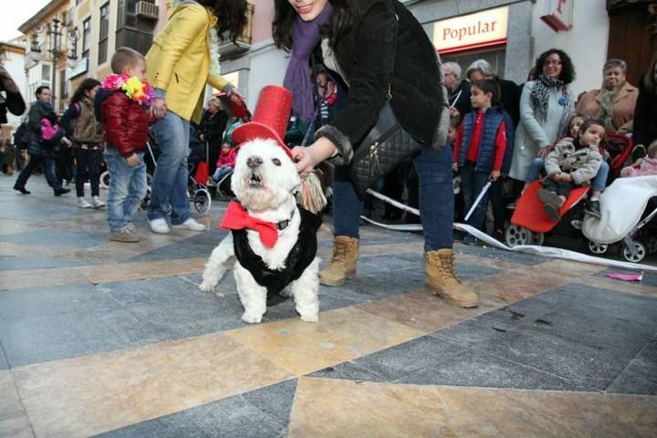 CarnavalCanino_041.jpg