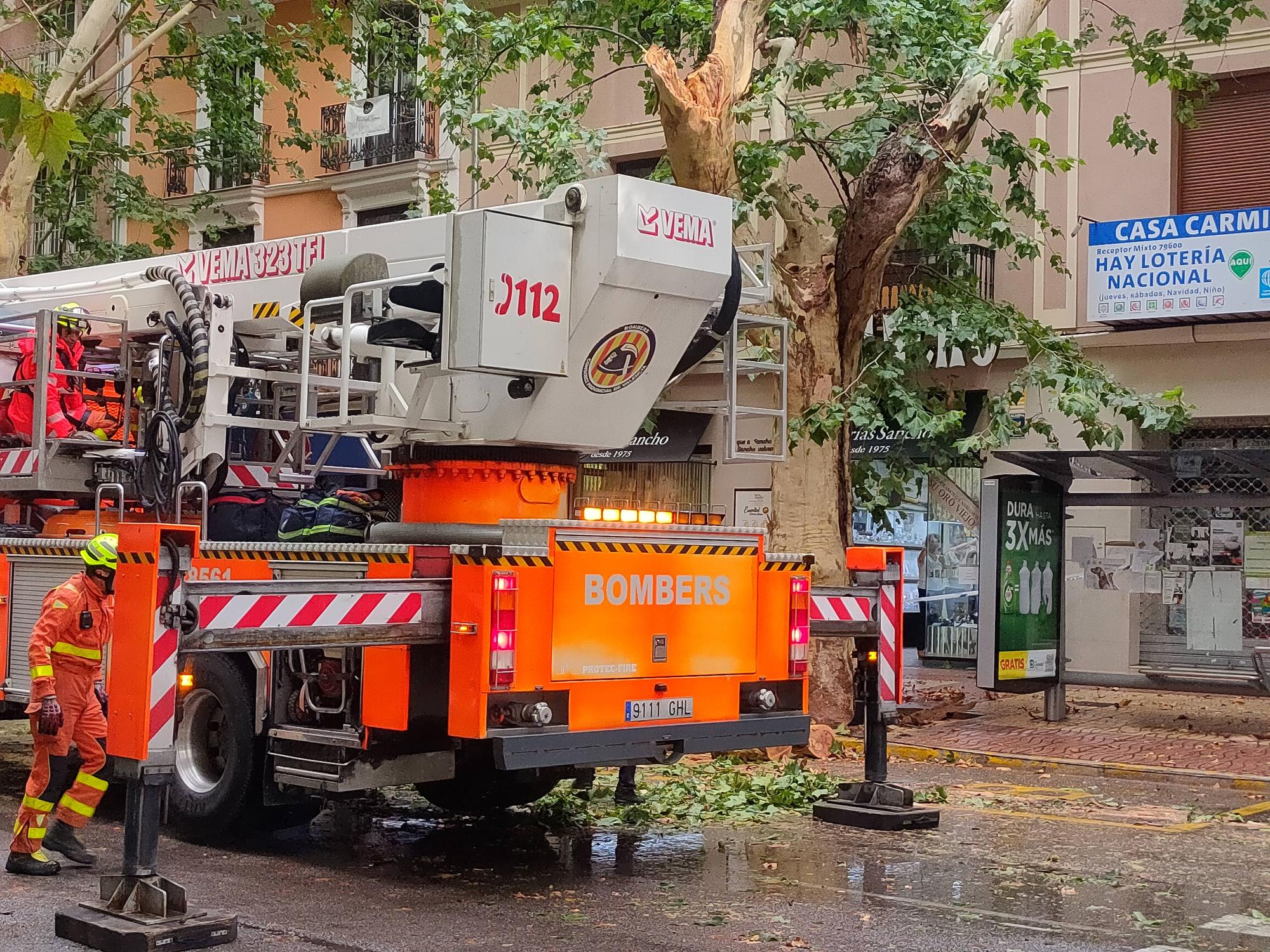 Ramas caídas y árboles arrancados en Xàtiva tras la tormenta del fin de semana