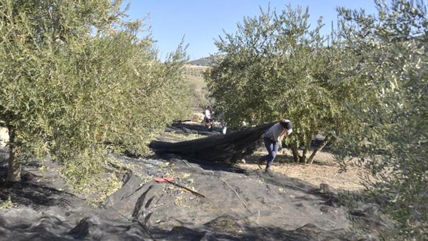 Los agricultores lanzan sus críticas a las administraciones por el IRPF