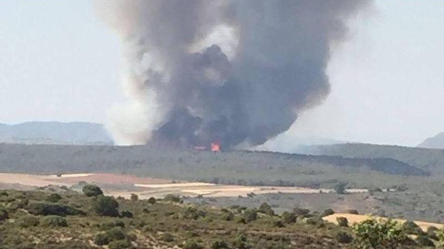 Un incendio destruye un pinar en una zona aislada