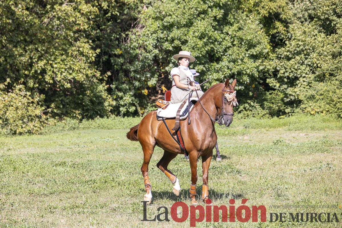 Romería de los Caballos del Vino de Caravaca, en imágenes