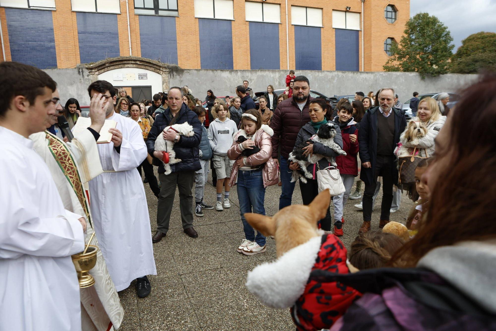 Bendición mascotas en Gijón en la parroquia de Viesques