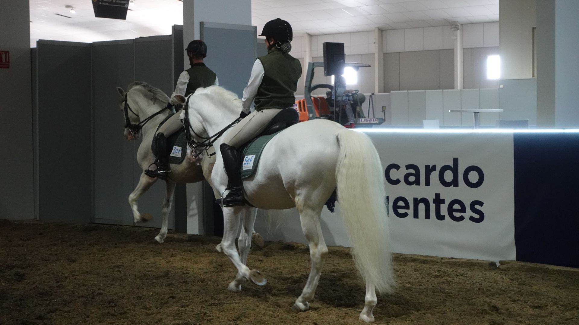 Feria del caballo de Torre Pacheco