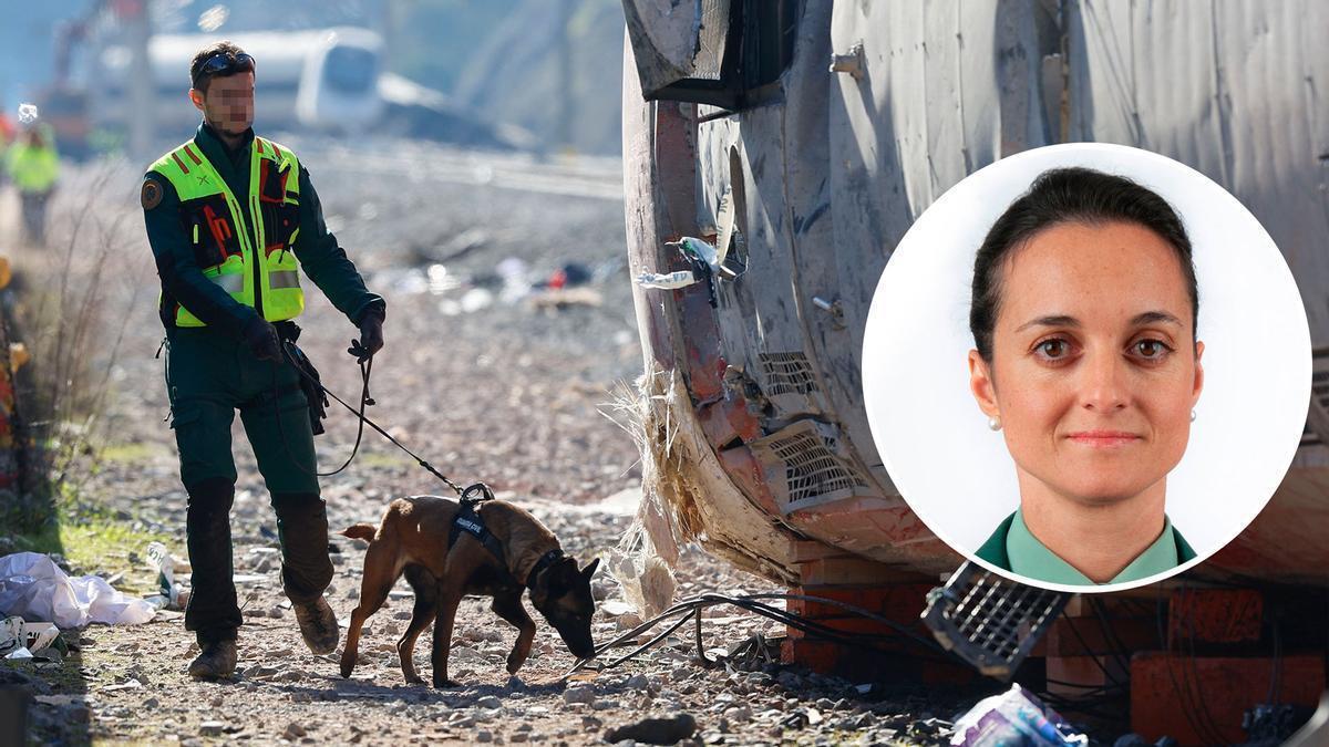 Así es la bióloga que coordinó el proceso de identificación de cadáveres en el accidente ferroviario de Adamuz y puso nombre a las 45 víctimas mortales Así es la bióloga que coordinó el proceso de identificación de cadáveres en el accidente ferroviario de Adamuz y puso nombre a las 45 víctimas mortales