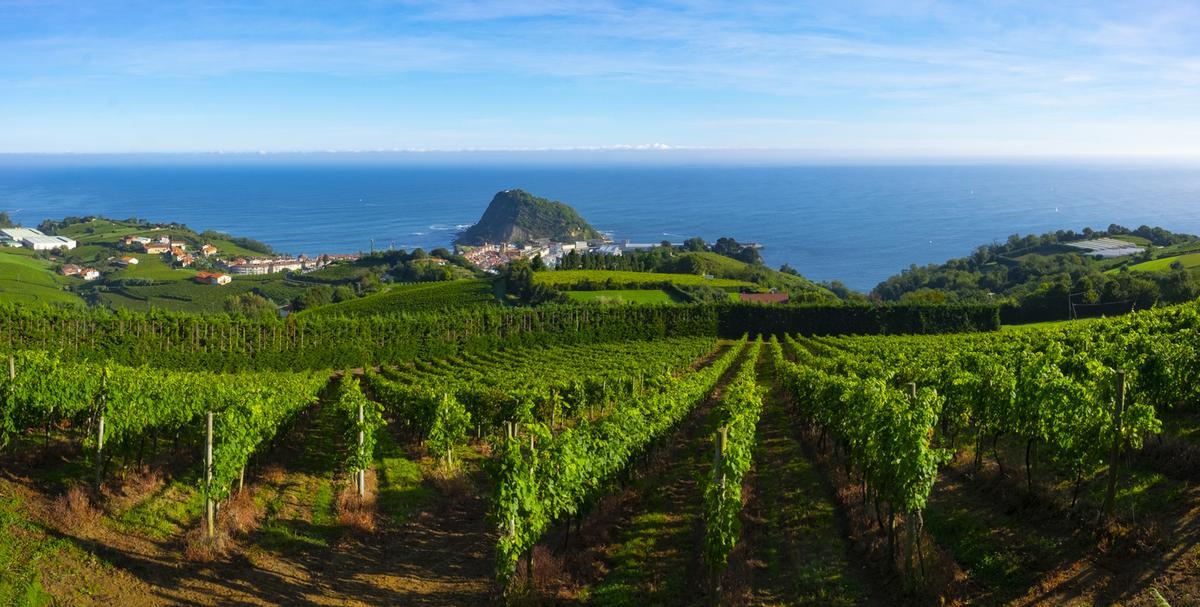 Viñedos y producción vinícola con el mar Cantábrico de fondo, Getaria