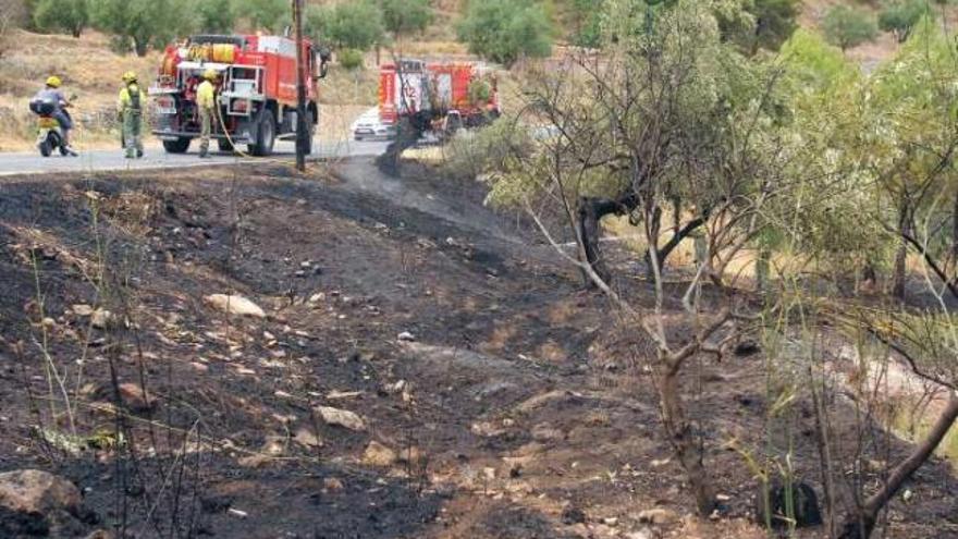 Imagen de un incendio reciente en una zona de cultivos en Alcoy.