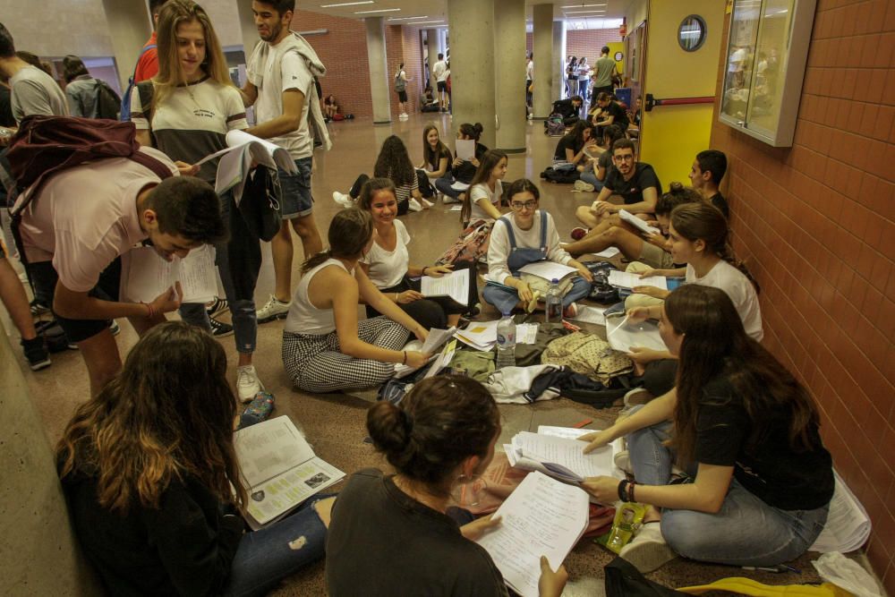 En la UMH durante estos días van a realizar las Pruebas de Acceso a la Universidad un total de 3.498 alumnos.