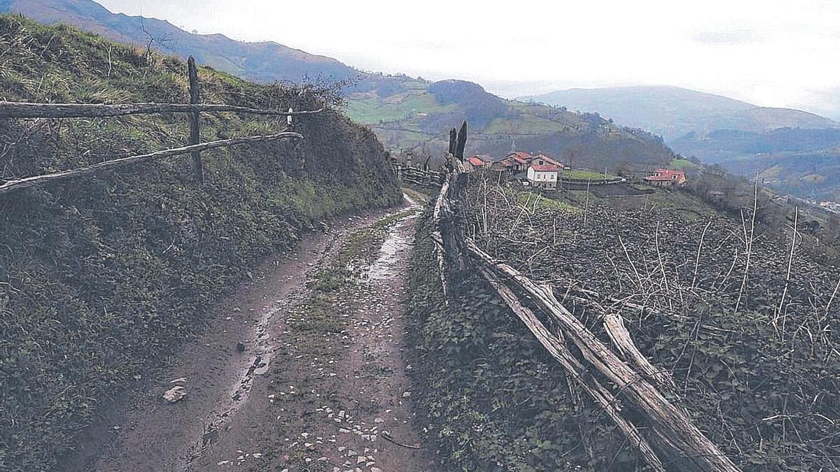La caja de la fallida carretera Cenera-Riosa.