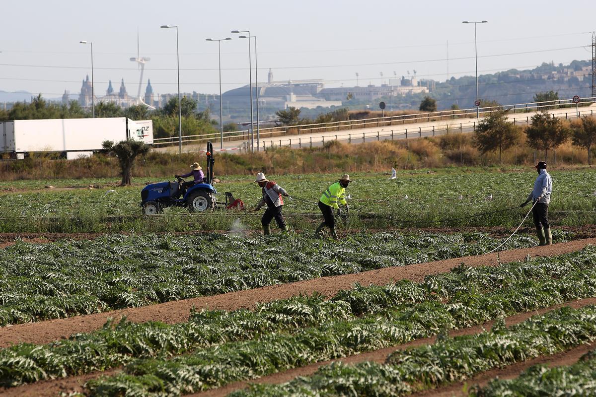 L’empresa agroalimentària no serà la baula perduda de l’ampliació del Prat