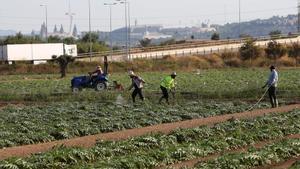 L’empresa agroalimentària no serà la baula perduda de l’ampliació del Prat