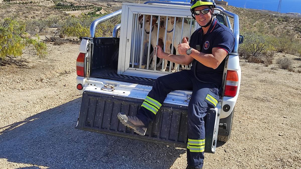 Bomberos de Tenerife rescatan dos perros atrapados