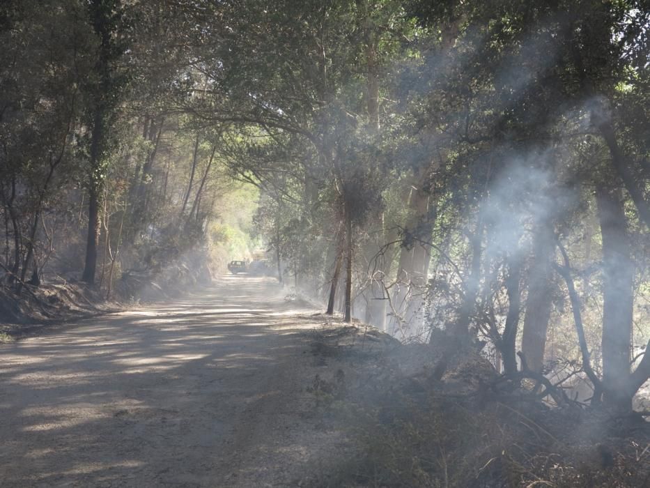 Waldbrand bei Puigpunyent