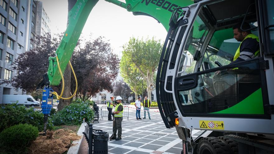 El depredador de tocones actúa en Badajoz