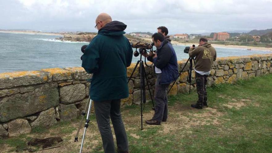 Observación de aves durante una actividad organizada por SEO/BirdLife en O Grove, hace dos años.