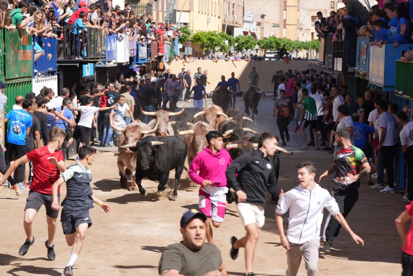 Galería: El primer encierro de las fiestas de Sant Pasqual 2023 en imágenes