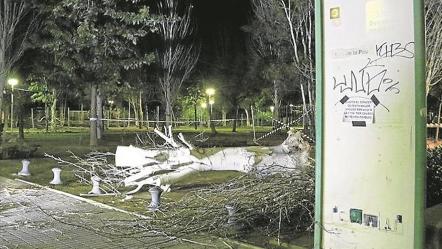 Un herido crítico y otro grave al caerles un árbol en Salou