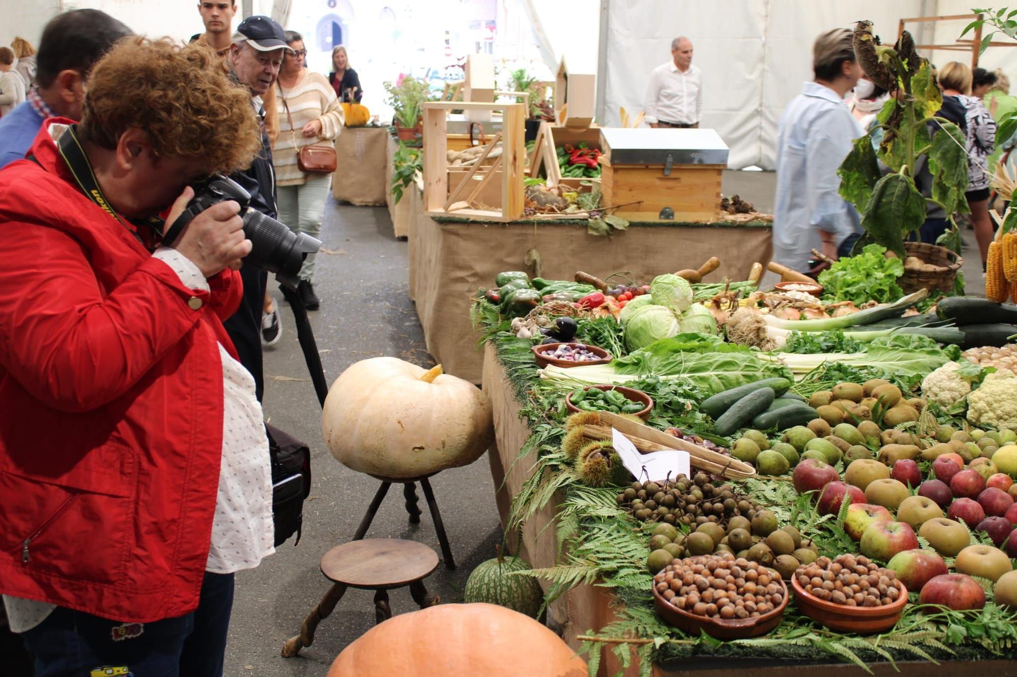 Sama celebra el III Certamen de la Huerta "Llangréu Natural"