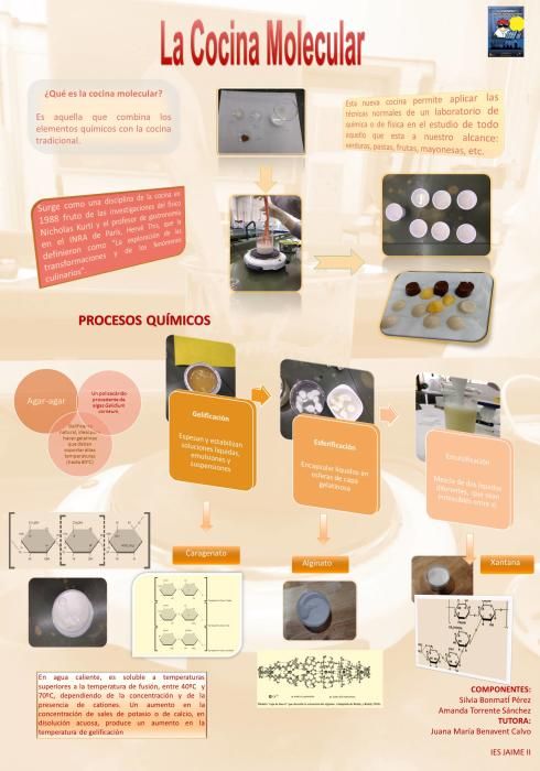 Semana de la Ciencia en IES Jaime II de Alicante