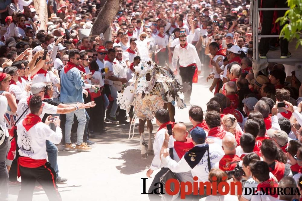 Carrera de los Caballos del Vino