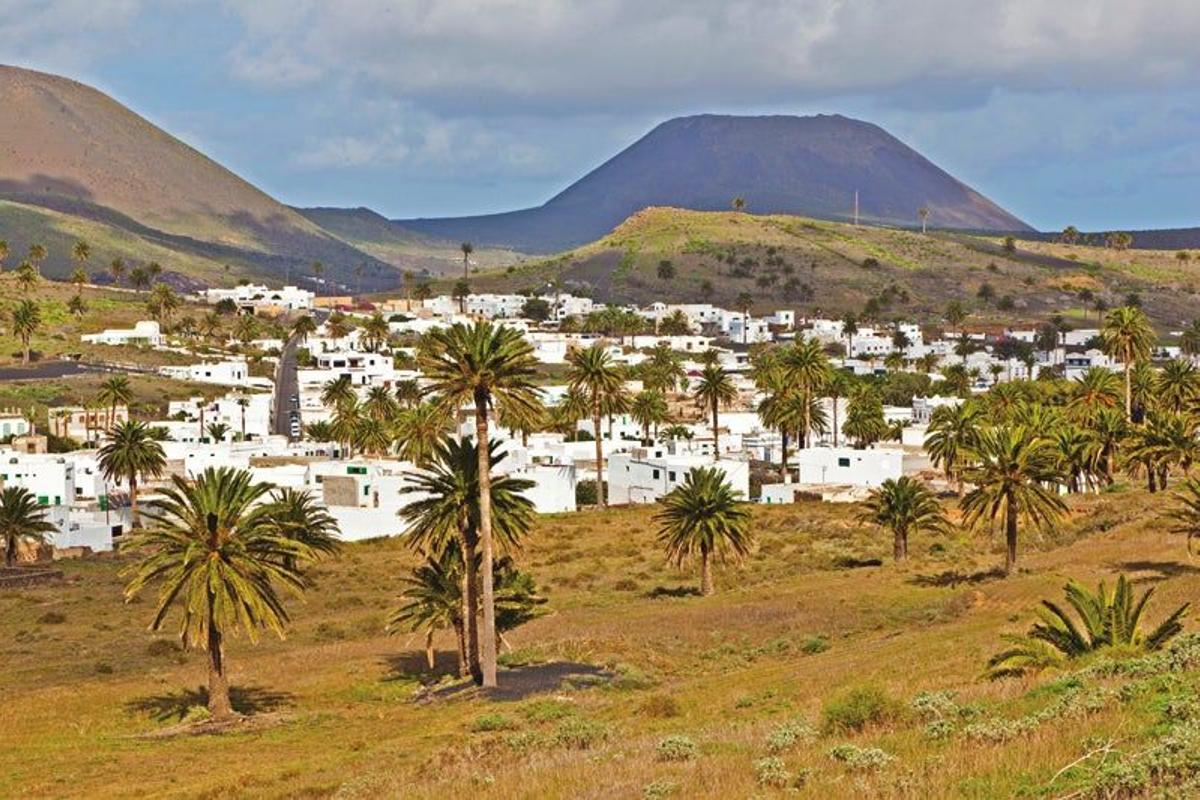 Valle de las Mil Palmeras (Lanzarote)