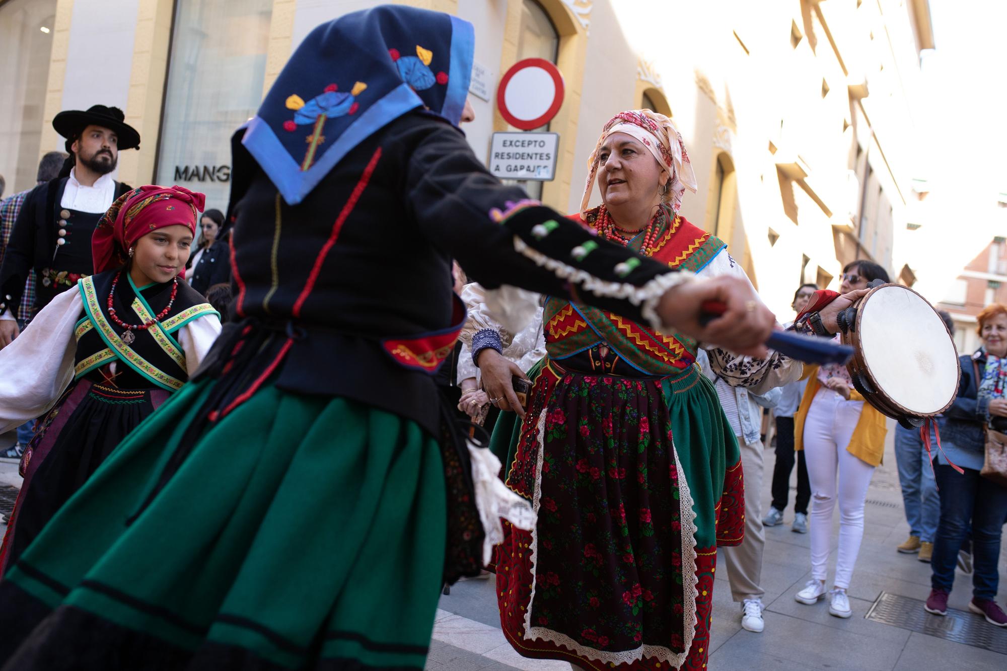 Desfile de indumentaria tradicional de Zamora