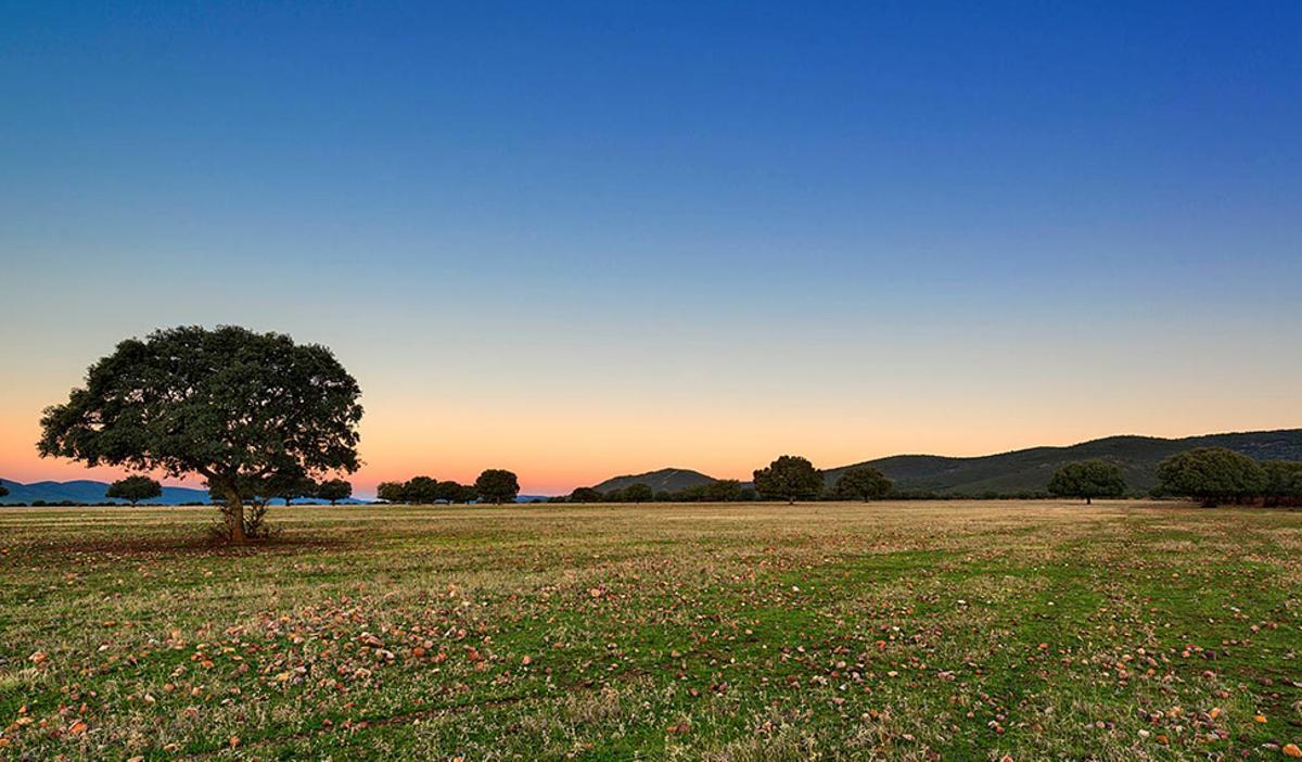 El Parque de Cabañeros iba a ser un campo de tiro en sus inicios