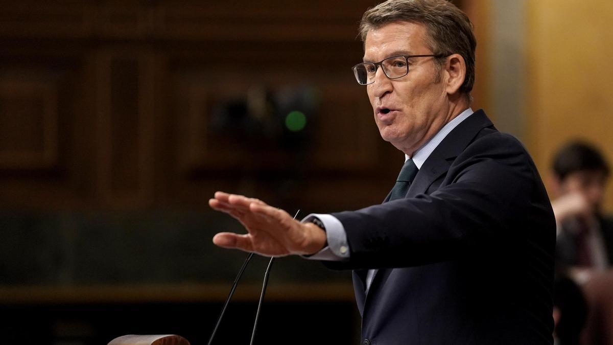 Alberto Núñez Feijóo, en el Congreso de los Diputados.