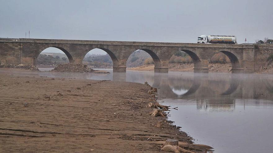 Aparecen muertos mejillones de río en el Tera por el descenso de Agavanzal