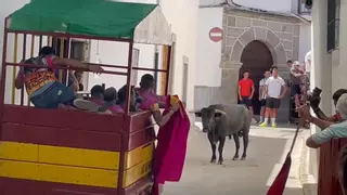 Fiestas de San Roque en Dos Torres