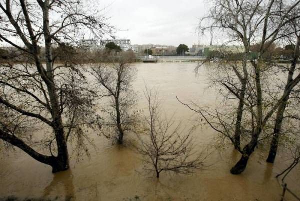 Fotogalería: Crecida en el río Ebro