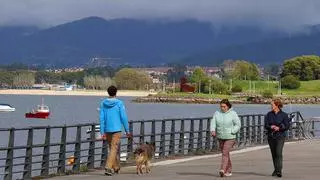 Una primavera de lo más díscola
