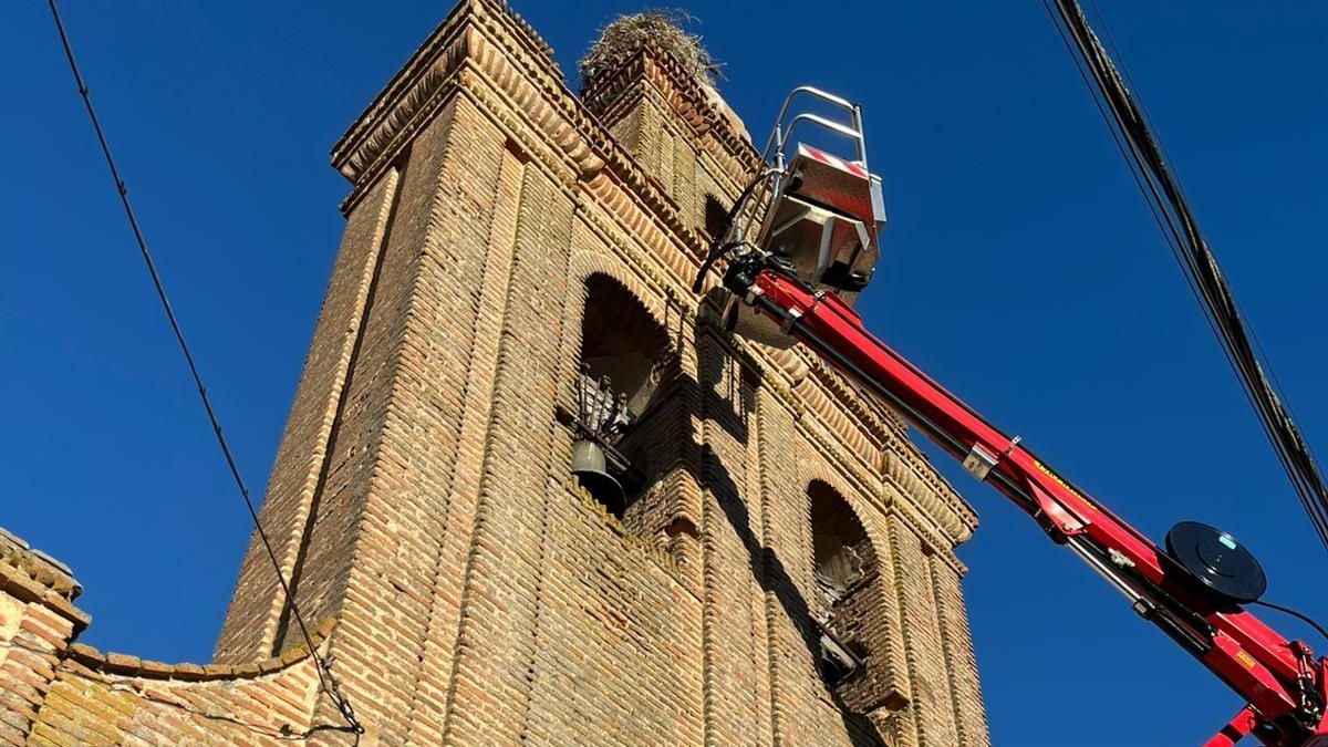 Efectivos del Parque de Toro acceden al nido en el que estaba atrapada la cigüeña.