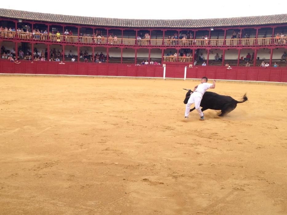 Fiestas Toro- concurso de jóvenes cortadores