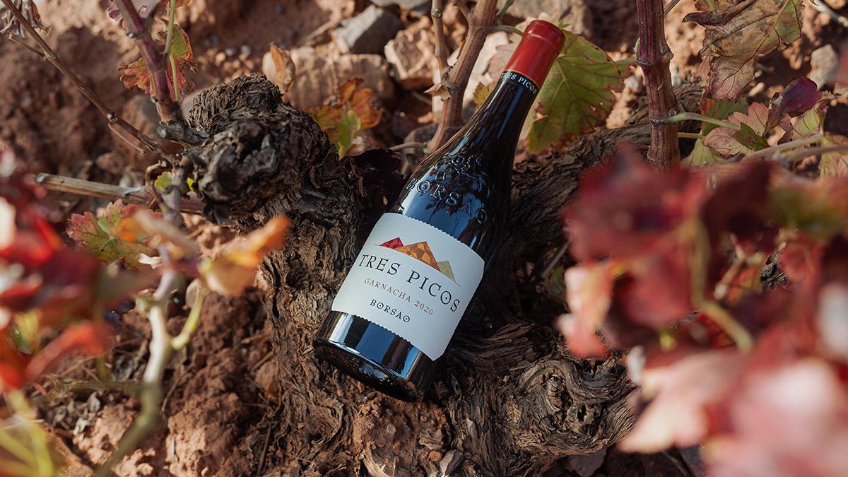Borsao Tres Picos, uno de los vinos del pack de Casa Gourmet.
