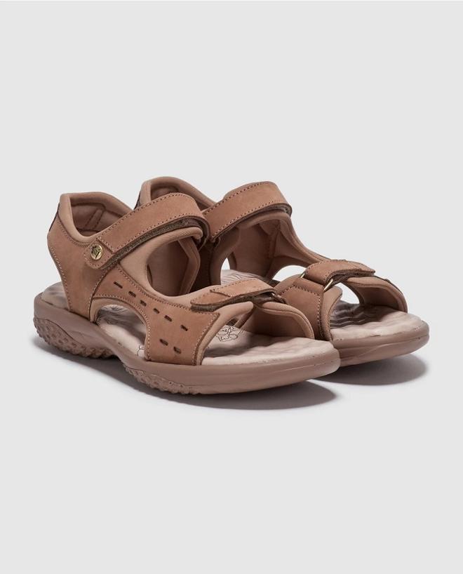 Las safari